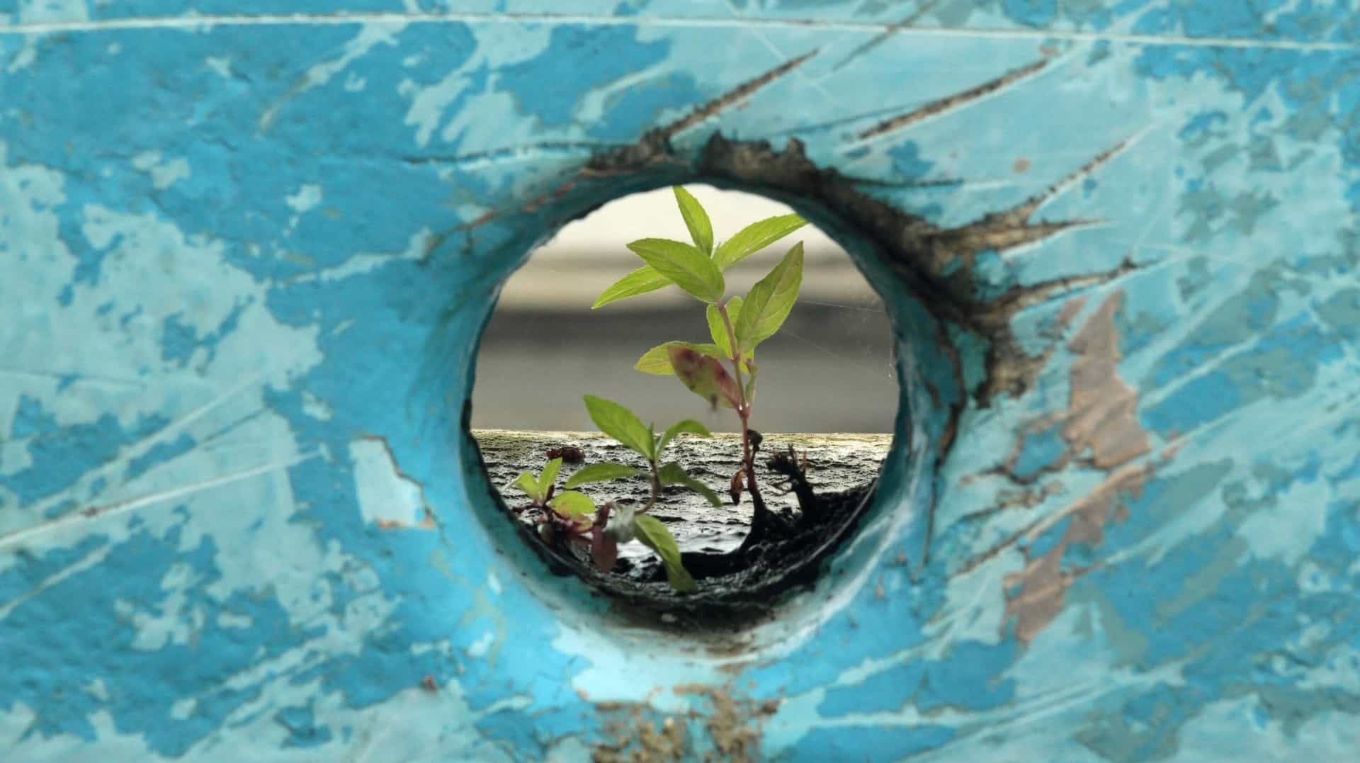 resiliencia