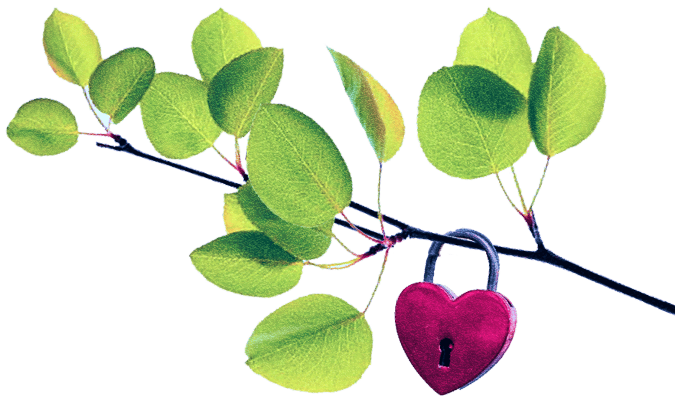 menopause-lp-connection-bg