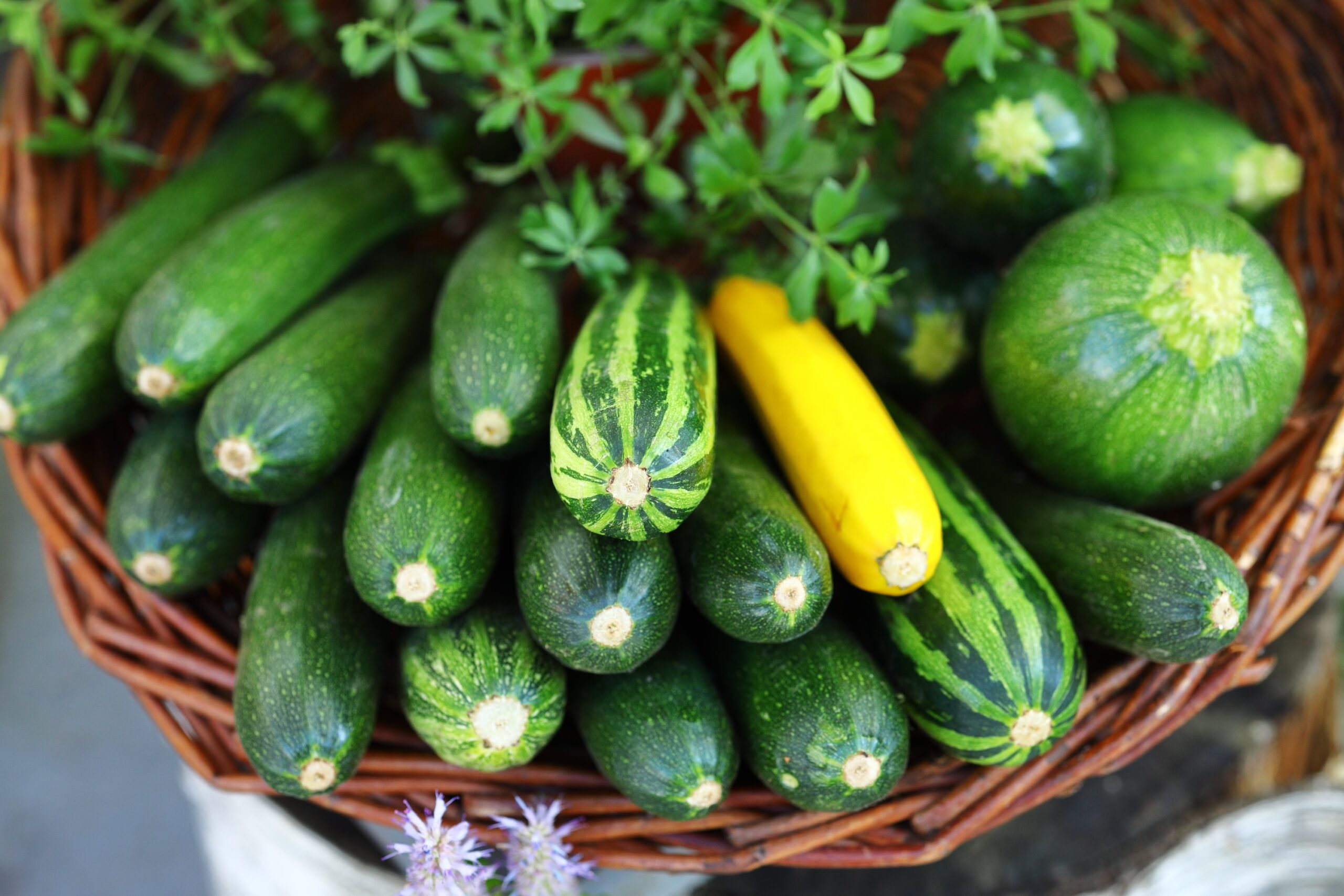 Food, Plant, Produce, Zucchini