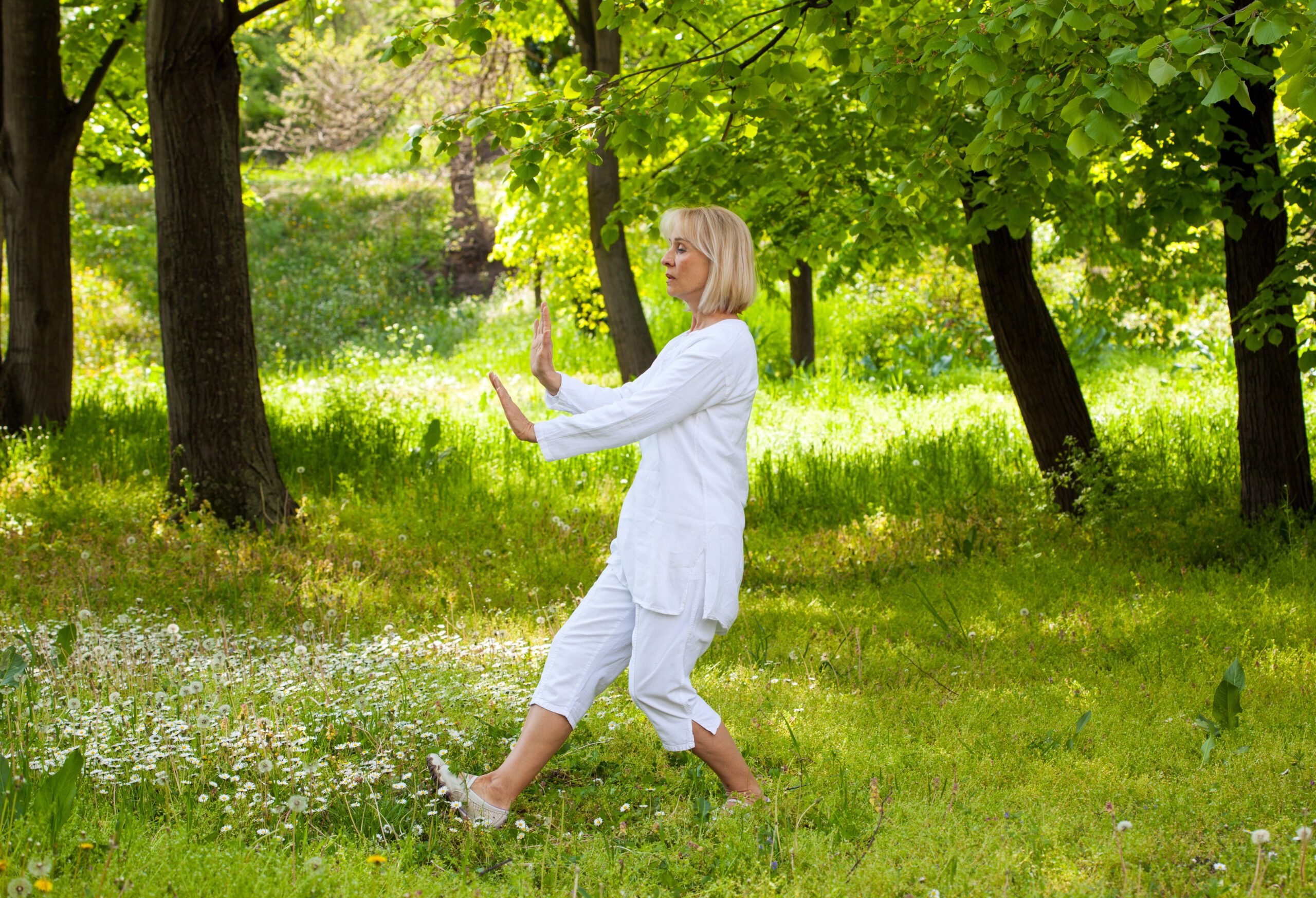 Grass, Plant, Martial Arts