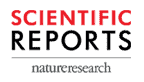 scientific_reports